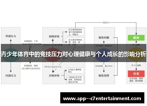青少年体育中的竞技压力对心理健康与个人成长的影响分析
