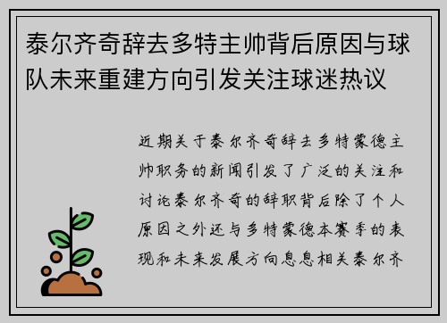 泰尔齐奇辞去多特主帅背后原因与球队未来重建方向引发关注球迷热议