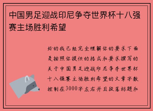 中国男足迎战印尼争夺世界杯十八强赛主场胜利希望
